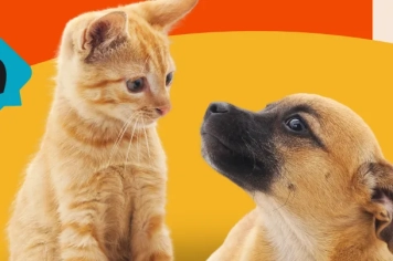 Mutirão de castração em cães e gatos acontece neste sábado em Roseira